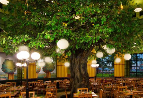 Garden Grove Restaurant with Tables, Chairs and a Large Tree at the Walt Disney World Swan Resort