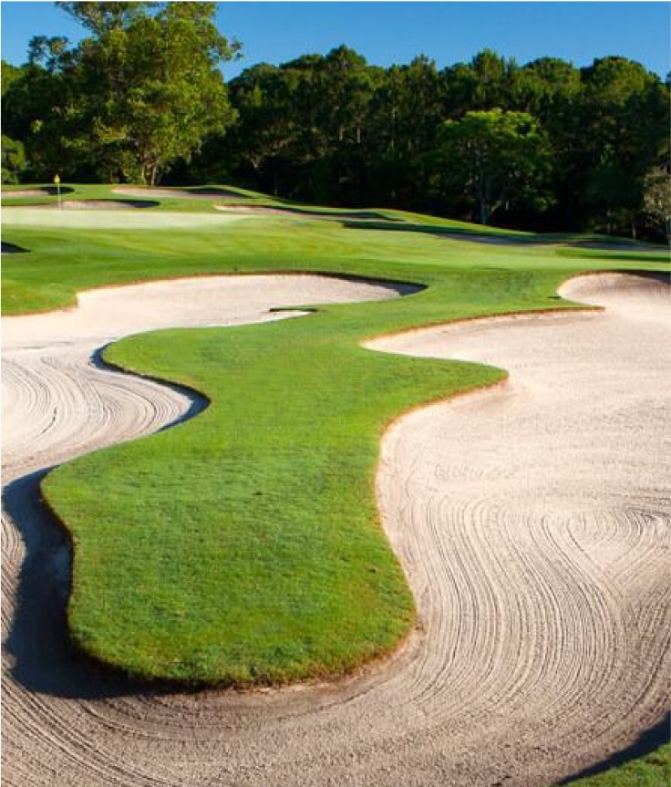 Greens and Bunkers at a Walt Disney World Golf Course