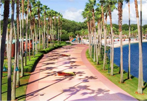 Large Sidewalk with Palm trees Near the Lake