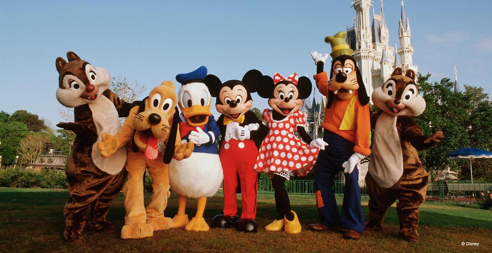 People dressed as Disney characters Chip, Pluto, Donald Duck, Mickey Mouse, Minnie Mouse, Goofy, and Dale stand together smiling in front of Cinderella Castle at a Disney theme park on a sunny day.