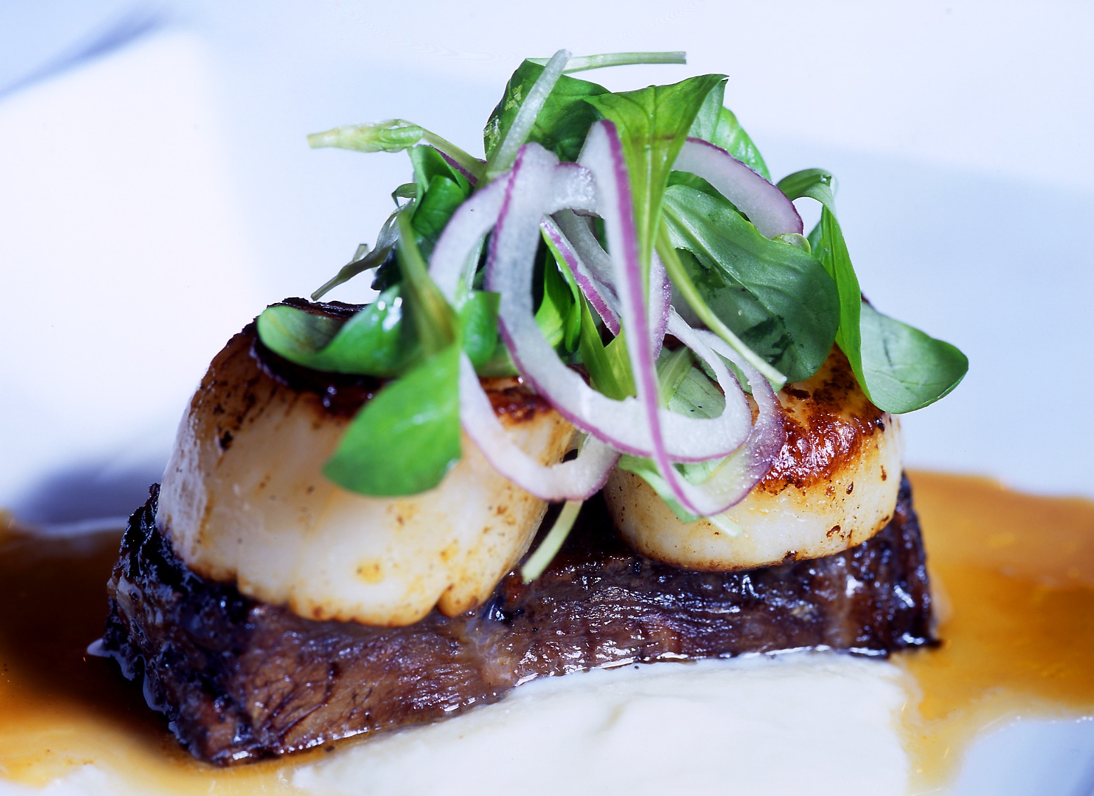 An order of scallops overtop of braised shortrib served at Todd English's Bluezoo at the Walt Disney World Dolphin