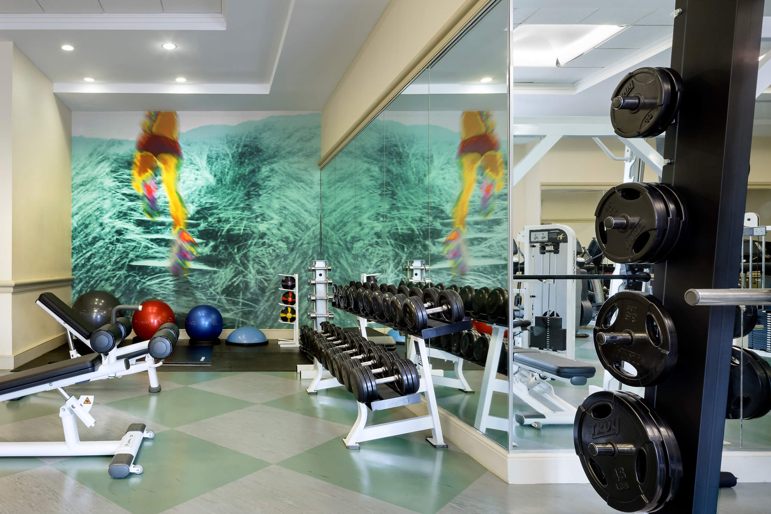A modern gym with free weights, weight machines, exercise balls, and mirrors. The back wall features a large mural of a runner on grass. The room is bright and organized, with fitness equipment neatly arranged.