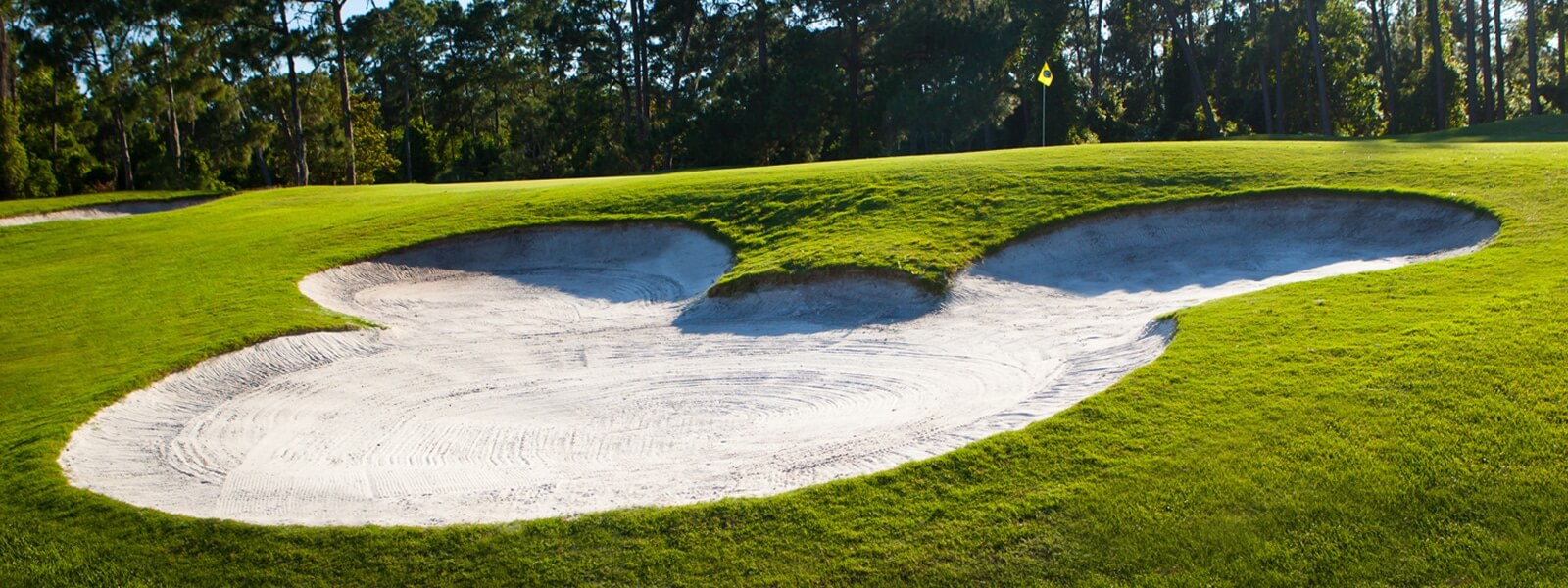 A sand bunker shaped like Mickey Mouse’s head on a golf course, surrounded by green grass and trees in the background.