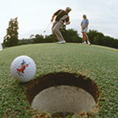 Golf Ball Near Hole at Walt Disney World World Championship Golf