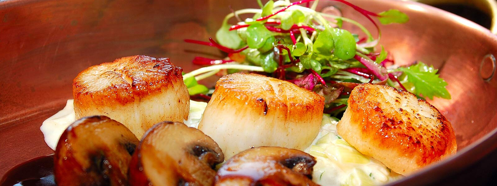 Three seared scallops served with sautéed mushrooms, creamy sauce, and a fresh mixed green salad on a copper plate.