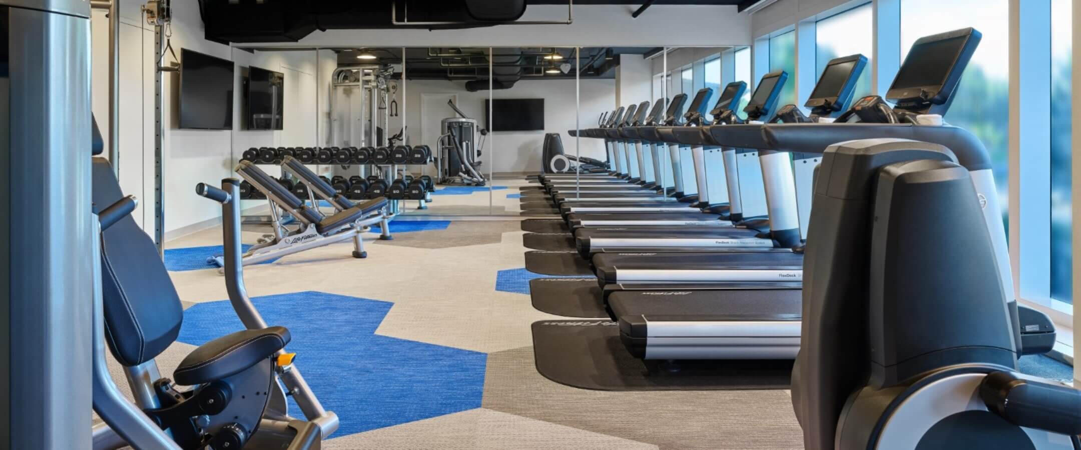 A modern gym with rows of treadmills, weight machines, free weights, and large windows letting in natural light. The space is bright, clean, and features blue and gray flooring.