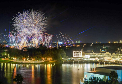 View of Epcot Fireworks