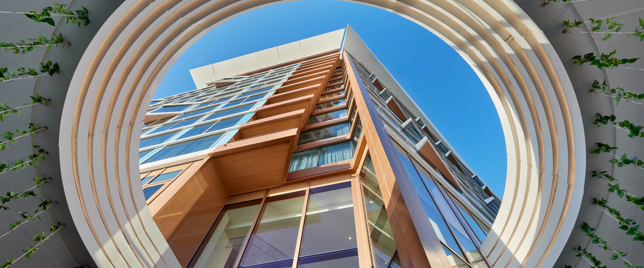 View of a modern high-rise building from below, framed by a large circular architectural structure with green vines, looking up toward a clear blue sky.