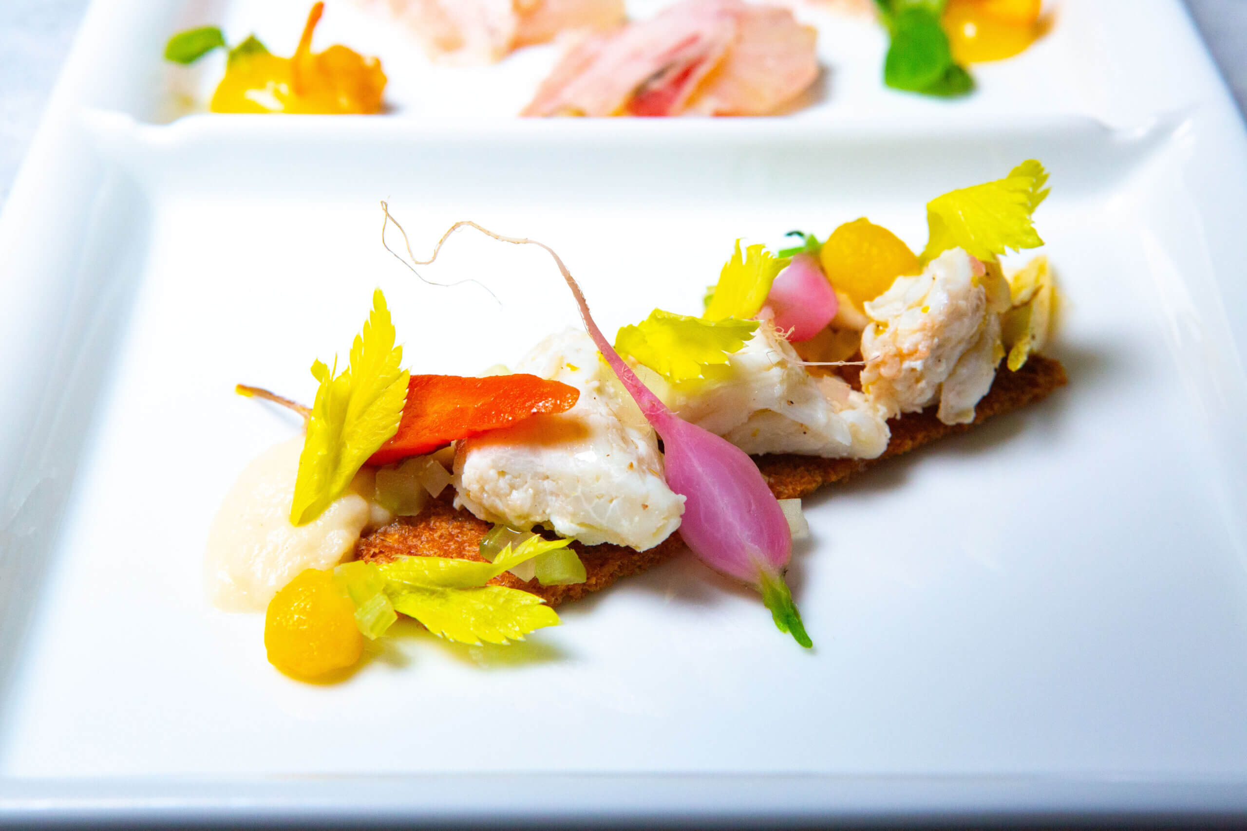 Крупный план элегантной закуски с крабовым мясом, маринованным луком, точками желтого соуса, листьями сельдерея и хрустящей основой, искусно разложенной на белой тарелке.