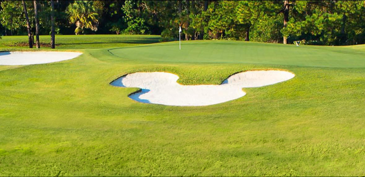 A golf course with a sand bunker shaped like Mickey Mouses head, set near a green with a flag and surrounded by trees.