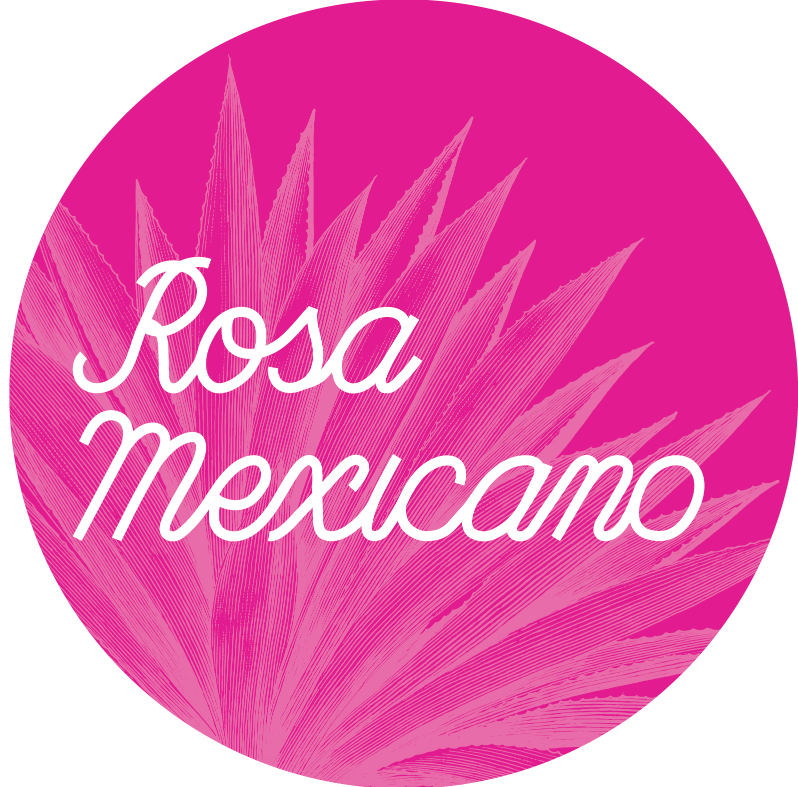 A bright pink circle with the words Rosa Mexicano in white script over an illustrated agave plant.